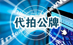 企业车牌代拍